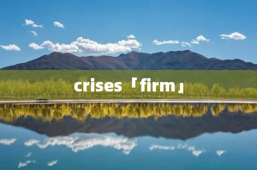 crises「firm」 crises「firm」