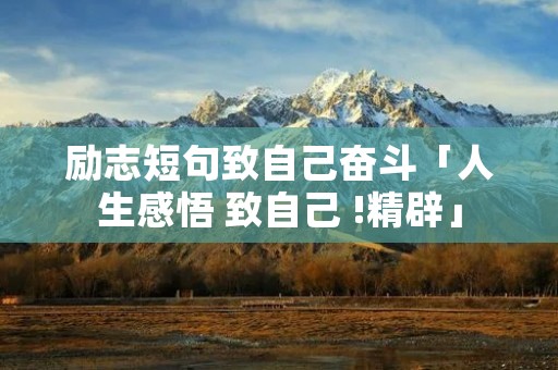 励志短句致自己奋斗「人生感悟 致自己 !精辟」