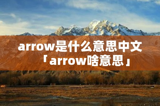 arrow是什么意思中文「arrow啥意思」