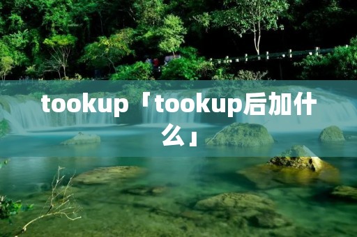 tookup「tookup后加什么」