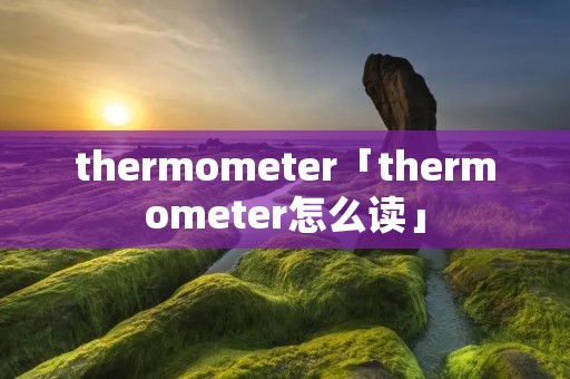 thermometer「thermometer怎么读」
