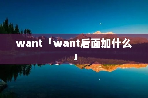want「want后面加什么」 want「want后面加什么」