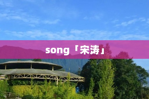 song「宋涛」 song「宋涛」