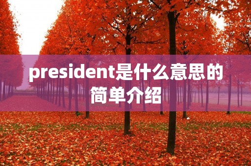 president是什么意思的简单介绍
