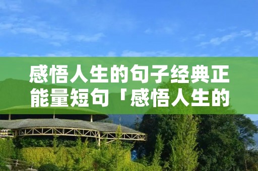 感悟人生的句子经典正能量短句「感悟人生的句子经典正能量短句图片」