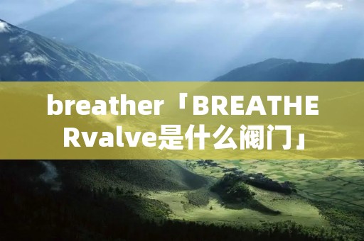 breather「BREATHERvalve是什么阀门」