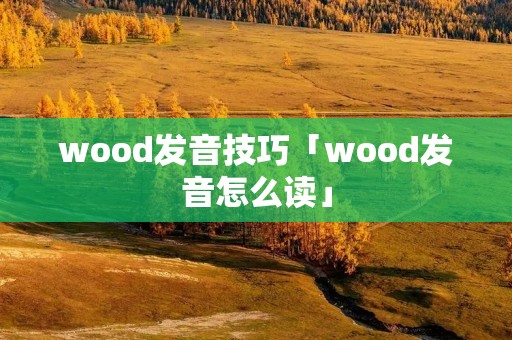 wood发音技巧「wood发音怎么读」