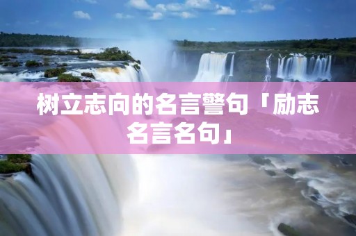树立志向的名言警句「励志名言名句」