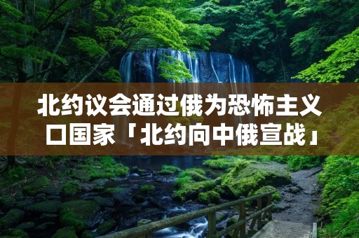 北约议会通过俄为恐怖主义口国家「北约向中俄宣战」