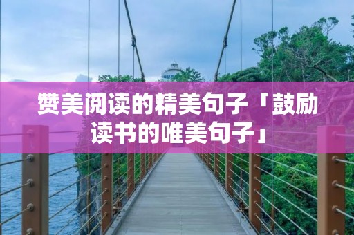 赞美阅读的精美句子「鼓励读书的唯美句子」