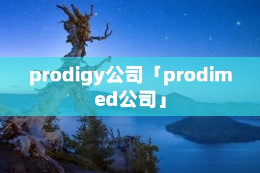 prodigy公司「prodimed公司」