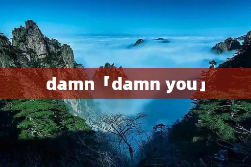 damn「damn you」