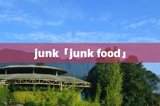 junk「junk food」