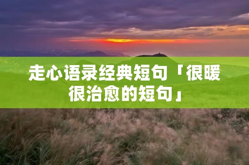 走心语录经典短句「很暖很治愈的短句」