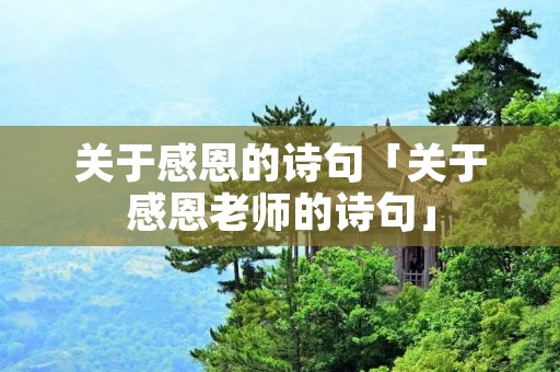 关于感恩的诗句「关于感恩老师的诗句」