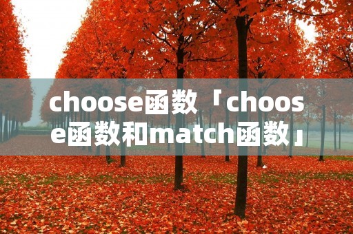 choose函数「choose函数和match函数」