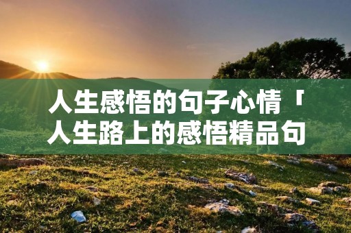 人生感悟的句子心情「人生路上的感悟精品句子」