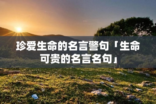 珍爱生命的名言警句「生命可贵的名言名句」