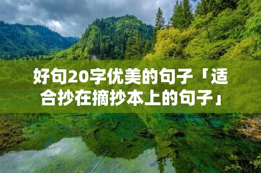好句20字优美的句子「适合抄在摘抄本上的句子」