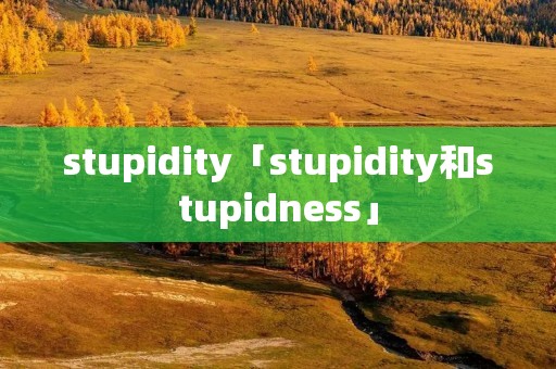 stupidity「stupidity和stupidness」