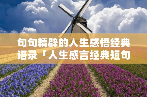 句句精辟的人生感悟经典语录「人生感言经典短句」