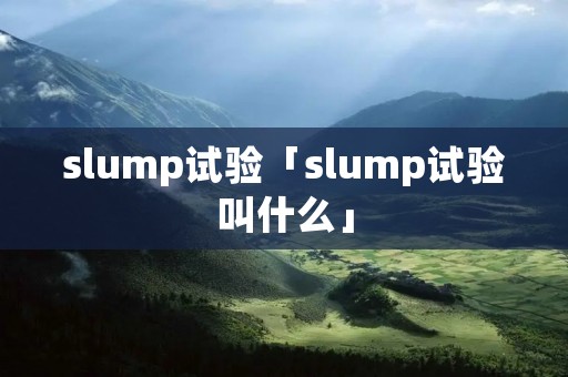 slump试验「slump试验叫什么」