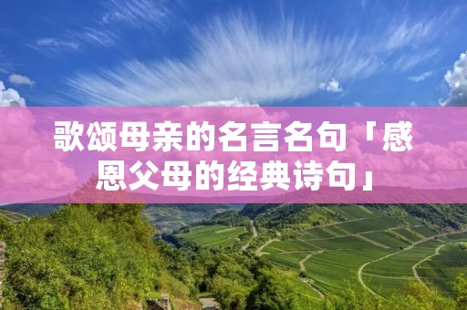 歌颂母亲的名言名句「感恩父母的经典诗句」