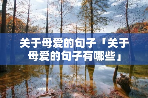 关于母爱的句子「关于母爱的句子有哪些」