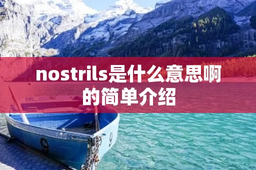 nostrils是什么意思啊的简单介绍