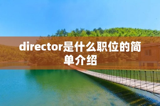director是什么职位的简单介绍