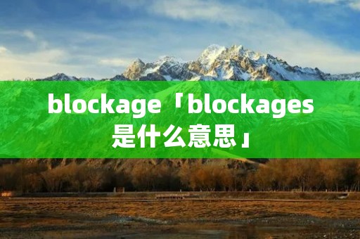 blockage「blockages是什么意思」