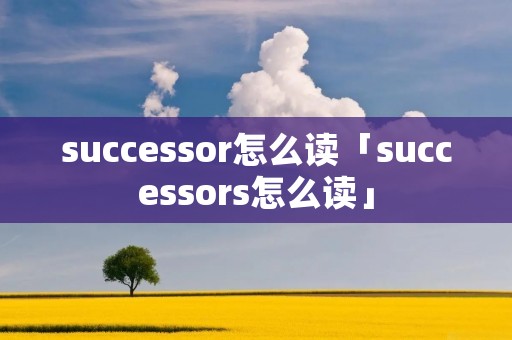 successor怎么读「successors怎么读」