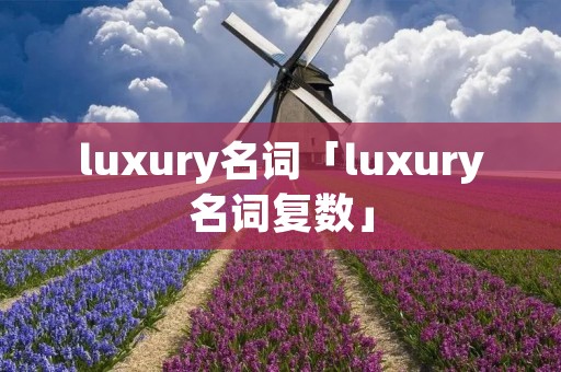 luxury名词「luxury名词复数」