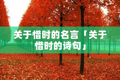关于惜时的名言「关于惜时的诗句」 关于惜时的名言「关于惜时的诗句」