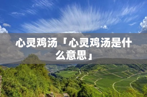 心灵鸡汤「心灵鸡汤是什么意思」 心灵鸡汤「心灵鸡汤是什么意思」