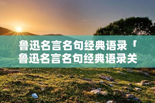 鲁迅名言名句经典语录「鲁迅名言名句经典语录关于时间」