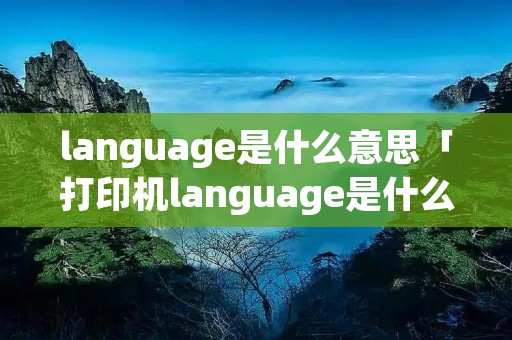 language是什么意思「打印机language是什么意思」