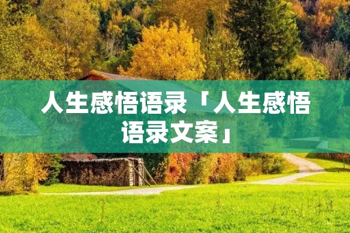 人生感悟语录「人生感悟语录文案」