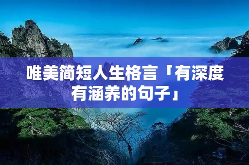唯美简短人生格言「有深度有涵养的句子」