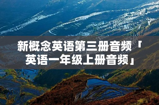 新概念英语第三册音频「英语一年级上册音频」