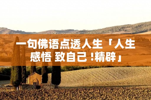 一句佛语点透人生「人生感悟 致自己 !精辟」