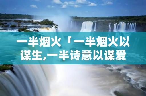 一半烟火「一半烟火以谋生,一半诗意以谋爱出处」