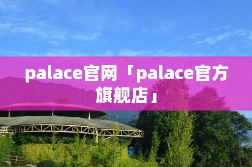 palace官网「palace官方旗舰店」 palace官网「palace官方旗舰店」