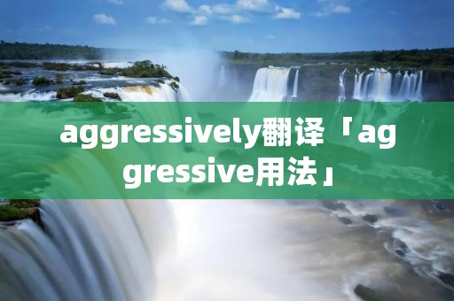 aggressively翻译「aggressive用法」