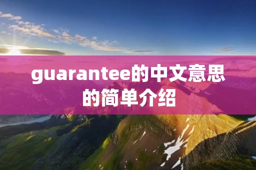 guarantee的中文意思的简单介绍