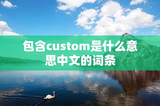 包含custom是什么意思中文的词条