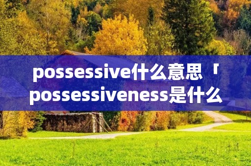 possessive什么意思「possessiveness是什么意思」