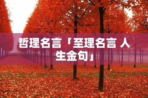 哲理名言「至理名言 人生金句」