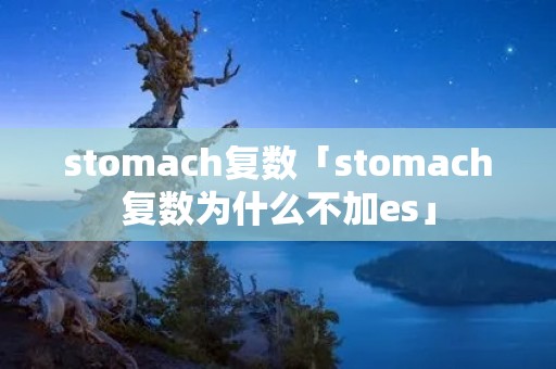 stomach复数「stomach复数为什么不加es」