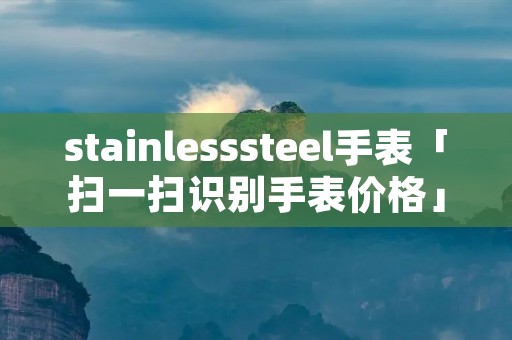 stainlesssteel手表「扫一扫识别手表价格」